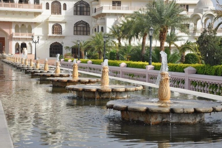 Wedding Planner in Chandigarh